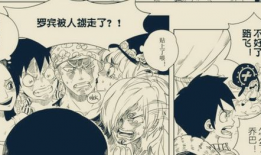 海贼王罗宾漫画,揭开历史之迷的冒险之旅